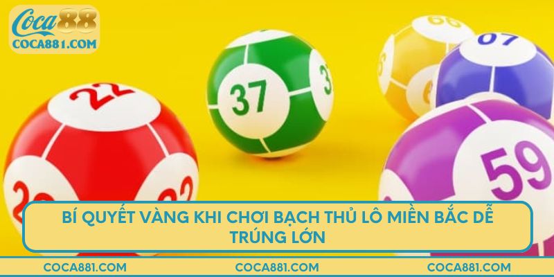 Bí quyết vàng khi chơi bạch thủ lô miền Bắc dễ trúng lớn