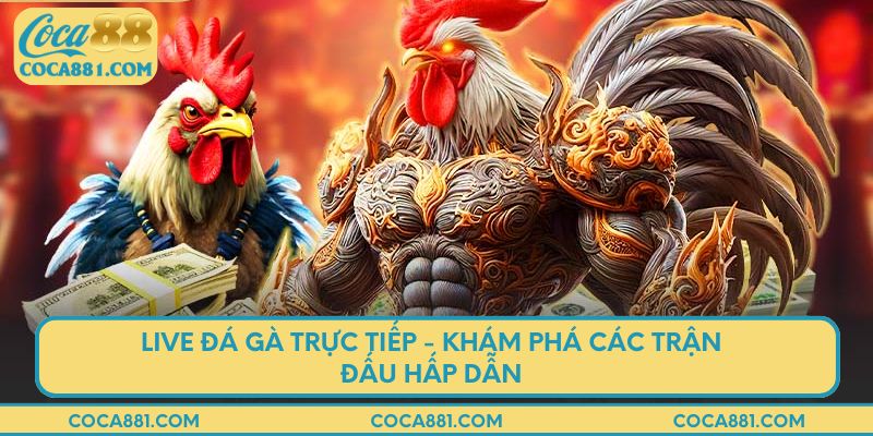 Live đá gà trực tiếp - Khám phá các trận đấu hấp dẫn